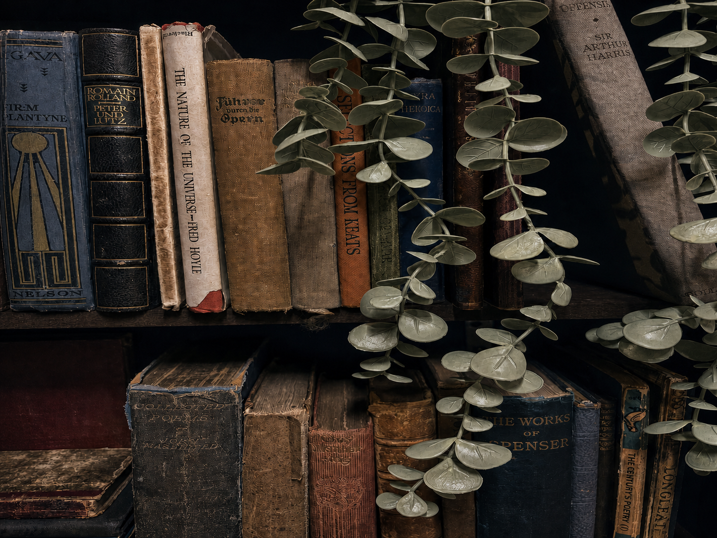 Two rows of worn vintage books framed by trailing dusty-sage foliage against a dark ink-navy bookcase