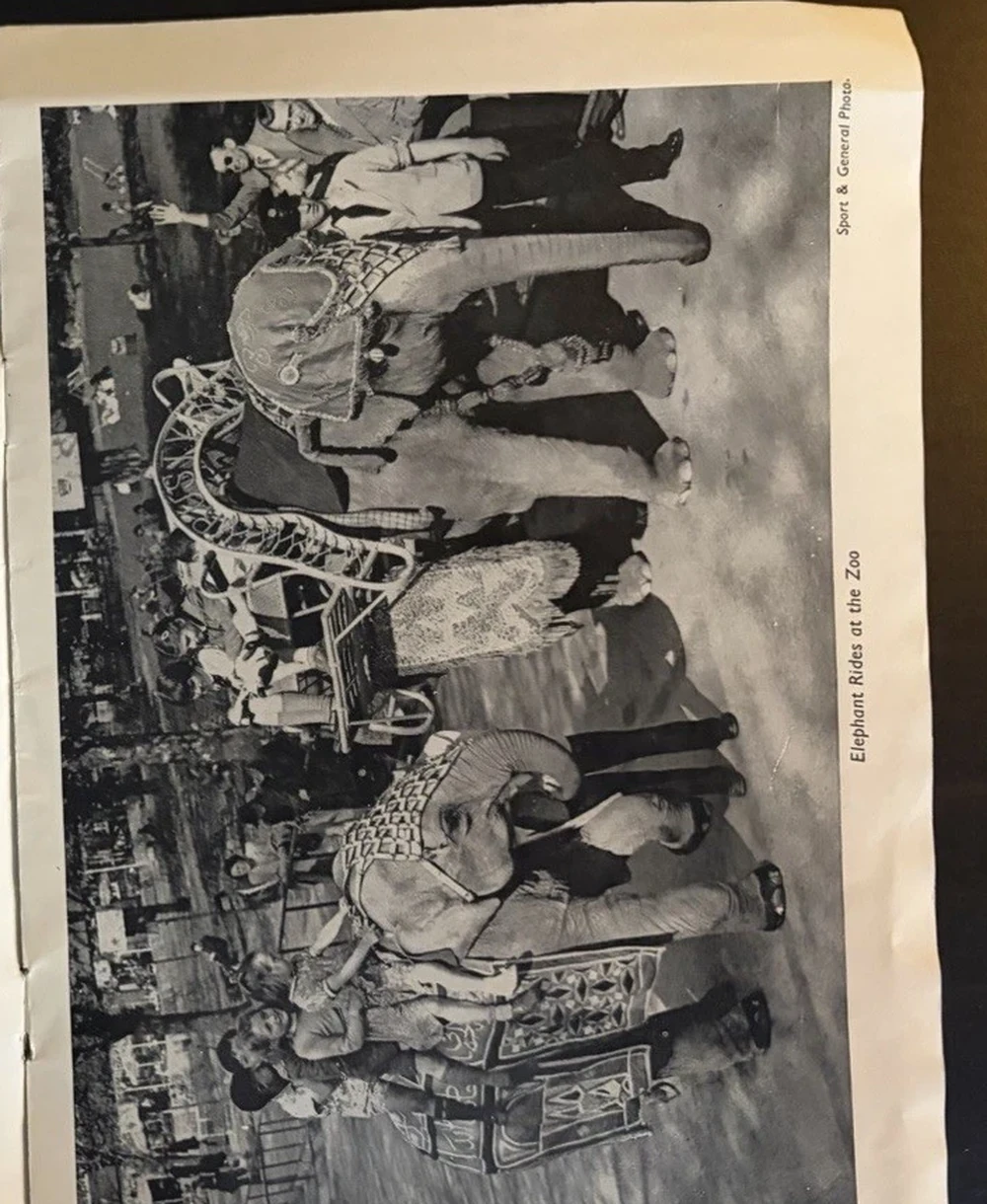 Black-and-white period photograph captioned Elephant Rides at the Zoo, showing children and adults riding on decorated elephants.