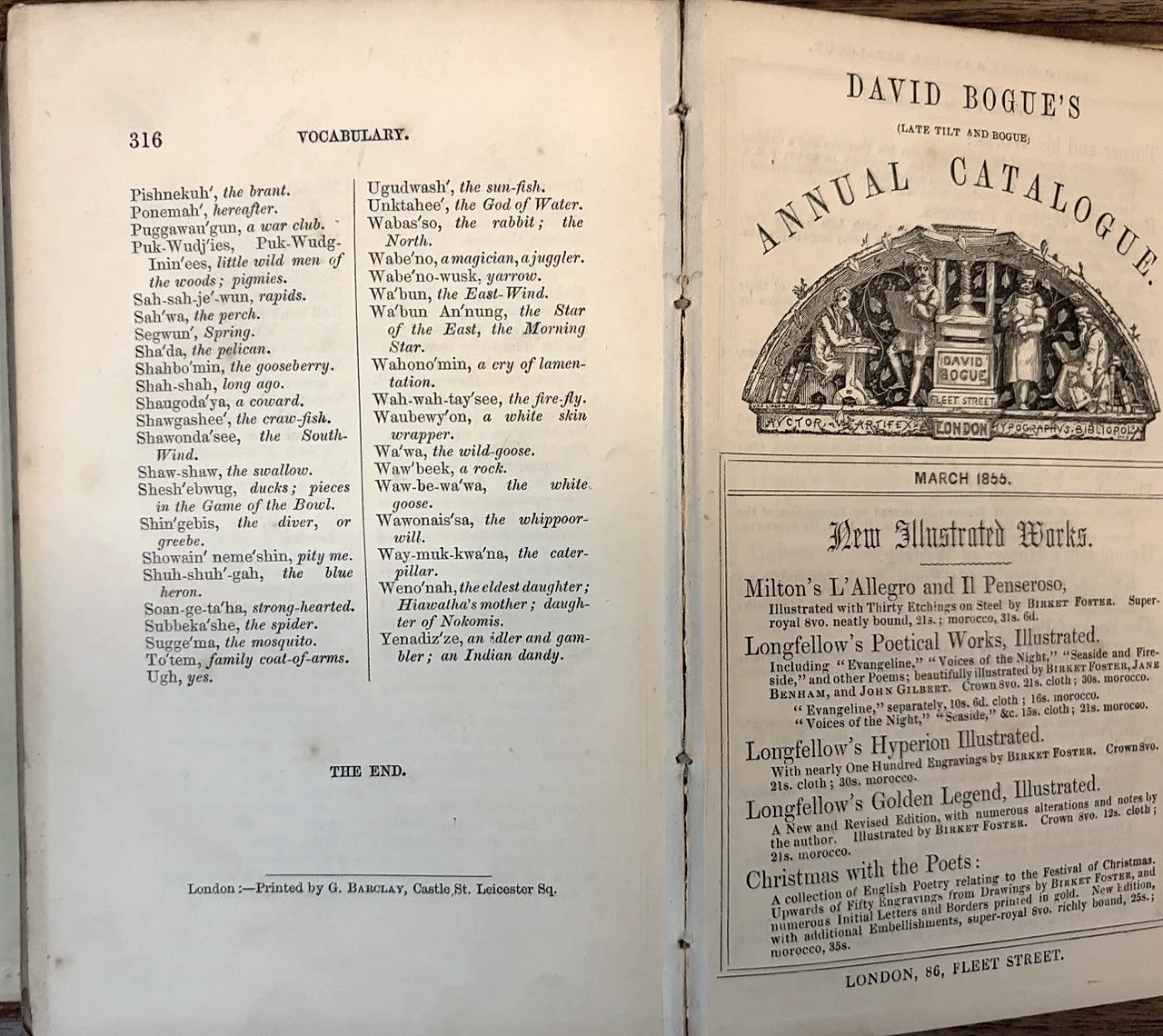 Page 316 headed Vocabulary and the opening of David Bogue’s Annual Catalogue dated March 1855